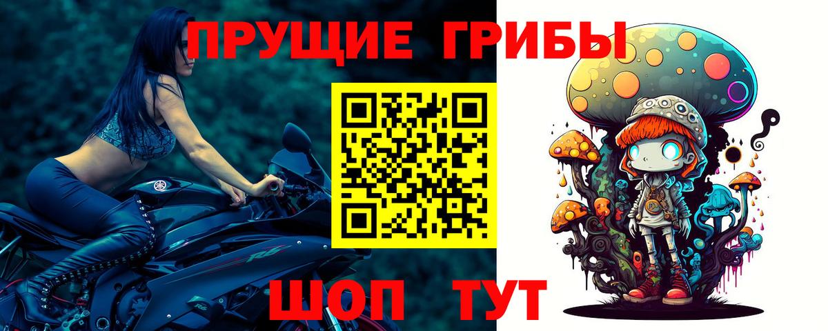 Галлюциногенные грибы Psilocybine cubensis  Псилоцибиновые грибы Psilocybine cubensis  Среднеуральск  Вход с VPN 